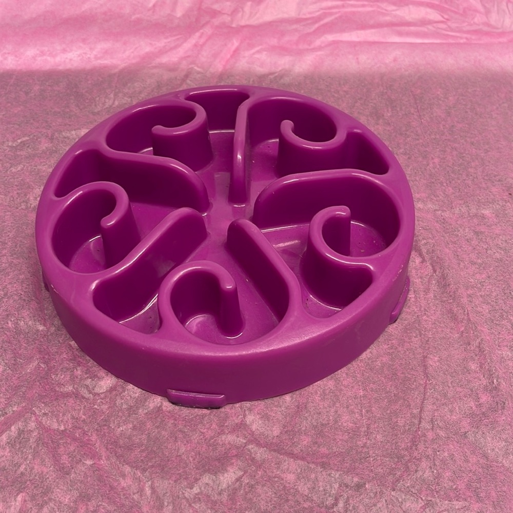 Slow feeder dog bowl
